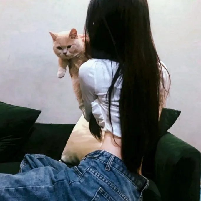 粉丝笔记